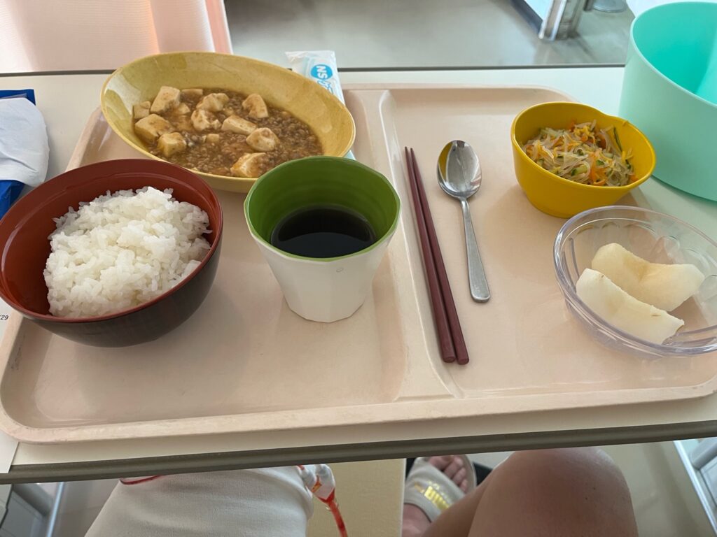 昼食:麻婆豆腐、ごはん、春雨サラダ、梨